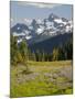 Alpine Meadow and Sarvent Glaciers, Mount Rainier National Park, Washington, USA-Jamie & Judy Wild-Mounted Photographic Print