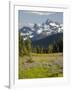 Alpine Meadow and Sarvent Glaciers, Mount Rainier National Park, Washington, USA-Jamie & Judy Wild-Framed Photographic Print