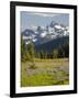 Alpine Meadow and Sarvent Glaciers, Mount Rainier National Park, Washington, USA-Jamie & Judy Wild-Framed Photographic Print