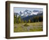 Alpine Meadow and Sarvent Glaciers, Mount Rainier National Park, Washington, USA-Jamie & Judy Wild-Framed Photographic Print