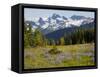 Alpine Meadow and Sarvent Glaciers, Mount Rainier National Park, Washington, USA-Jamie & Judy Wild-Framed Stretched Canvas