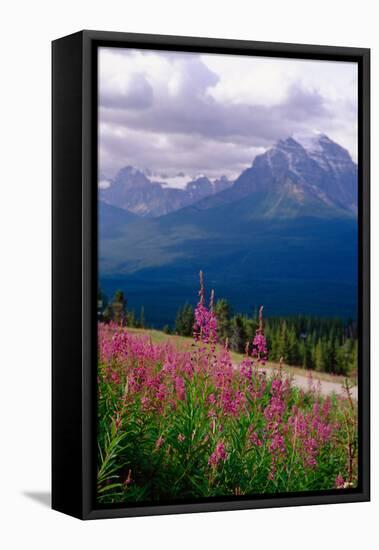 Alpine Meadow, Banff National Park, Canada-George Oze-Framed Stretched Canvas