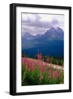 Alpine Meadow, Banff National Park, Canada-George Oze-Framed Premium Photographic Print