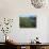 Alpine meadow below Tatoosh Mountains, Mt. Rainier National Park, Washington, USA-Charles Gurche-Photographic Print displayed on a wall