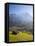 Alpine Meadow, Eiger and Grindelwald, Berner Oberland, Switzerland-Doug Pearson-Framed Stretched Canvas