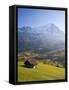 Alpine Meadow, Eiger and Grindelwald, Berner Oberland, Switzerland-Doug Pearson-Framed Stretched Canvas