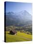 Alpine Meadow, Eiger and Grindelwald, Berner Oberland, Switzerland-Doug Pearson-Stretched Canvas