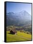 Alpine Meadow, Eiger and Grindelwald, Berner Oberland, Switzerland-Doug Pearson-Framed Stretched Canvas