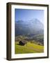 Alpine Meadow, Eiger and Grindelwald, Berner Oberland, Switzerland-Doug Pearson-Framed Photographic Print