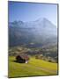 Alpine Meadow, Eiger and Grindelwald, Berner Oberland, Switzerland-Doug Pearson-Mounted Photographic Print