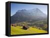 Alpine Meadow, Eiger and Grindelwald, Berner Oberland, Switzerland-Doug Pearson-Framed Stretched Canvas