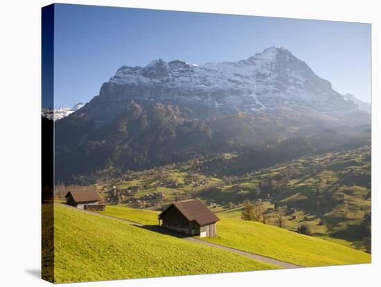 Alpine Meadow, Eiger and Grindelwald, Berner Oberland, Switzerland-Doug Pearson-Stretched Canvas