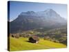 Alpine Meadow, Eiger and Grindelwald, Berner Oberland, Switzerland-Doug Pearson-Stretched Canvas