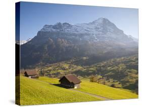 Alpine Meadow, Eiger and Grindelwald, Berner Oberland, Switzerland-Doug Pearson-Stretched Canvas