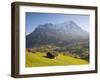 Alpine Meadow, Eiger and Grindelwald, Berner Oberland, Switzerland-Doug Pearson-Framed Photographic Print