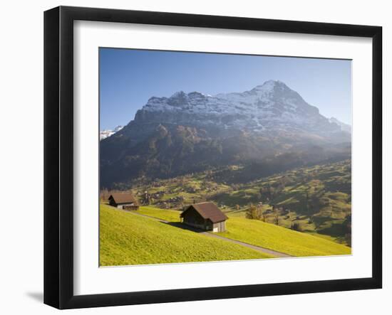 Alpine Meadow, Eiger and Grindelwald, Berner Oberland, Switzerland-Doug Pearson-Framed Photographic Print