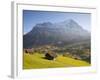 Alpine Meadow, Eiger and Grindelwald, Berner Oberland, Switzerland-Doug Pearson-Framed Photographic Print