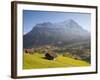 Alpine Meadow, Eiger and Grindelwald, Berner Oberland, Switzerland-Doug Pearson-Framed Photographic Print