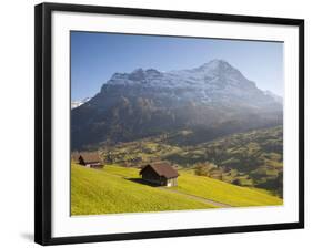 Alpine Meadow, Eiger and Grindelwald, Berner Oberland, Switzerland-Doug Pearson-Framed Photographic Print