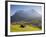 Alpine Meadow, Eiger and Grindelwald, Berner Oberland, Switzerland-Doug Pearson-Framed Photographic Print