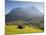 Alpine Meadow, Eiger and Grindelwald, Berner Oberland, Switzerland-Doug Pearson-Mounted Photographic Print