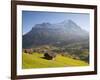 Alpine Meadow, Eiger and Grindelwald, Berner Oberland, Switzerland-Doug Pearson-Framed Photographic Print