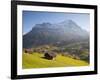 Alpine Meadow, Eiger and Grindelwald, Berner Oberland, Switzerland-Doug Pearson-Framed Photographic Print