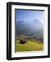 Alpine Meadow, Eiger and Grindelwald, Berner Oberland, Switzerland-Doug Pearson-Framed Premium Photographic Print