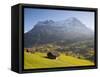 Alpine Meadow, Eiger and Grindelwald, Berner Oberland, Switzerland-Doug Pearson-Framed Stretched Canvas