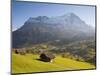 Alpine Meadow, Eiger and Grindelwald, Berner Oberland, Switzerland-Doug Pearson-Mounted Photographic Print