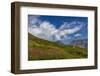 Alpine meadow filled with wildflowers with Bishops Cap in background in Glacier NP, Montana-Chuck Haney-Framed Photographic Print