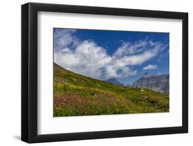 Alpine meadow filled with wildflowers with Bishops Cap in background in Glacier NP, Montana-Chuck Haney-Framed Photographic Print