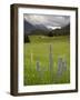 Alpine Meadow, Near Kofels, Umhausen, Otztal Valley, Tyrol, Austria, Europe-Gary Cook-Framed Photographic Print