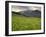 Alpine Meadow, Near Kofels, Umhausen, Otztal Valley, Tyrol, Austria, Europe-Gary Cook-Framed Photographic Print