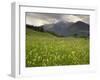 Alpine Meadow, Near Kofels, Umhausen, Otztal Valley, Tyrol, Austria, Europe-Gary Cook-Framed Photographic Print