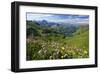 Alpine Meadow on Lake Seealpsee with Hoefats Mountain and Allgaeu Alps-null-Framed Art Print