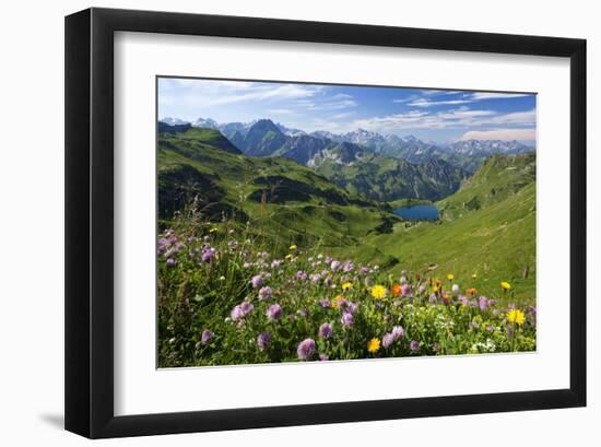 Alpine Meadow on Lake Seealpsee with Hoefats Mountain and Allgaeu Alps-null-Framed Art Print