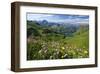 Alpine Meadow on Lake Seealpsee with Hoefats Mountain and Allgaeu Alps-null-Framed Art Print