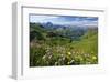 Alpine Meadow on Lake Seealpsee with Hoefats Mountain and Allgaeu Alps-null-Framed Art Print