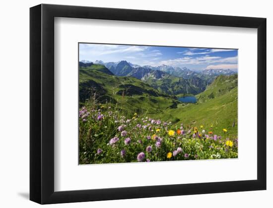 Alpine Meadow on Lake Seealpsee with Hoefats Mountain and Allgaeu Alps-null-Framed Art Print