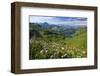 Alpine Meadow on Lake Seealpsee with Hoefats Mountain and Allgaeu Alps-null-Framed Art Print