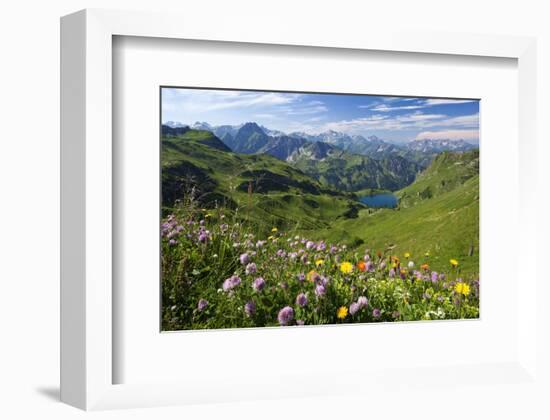 Alpine Meadow on Lake Seealpsee with Hoefats Mountain and Allgaeu Alps-null-Framed Art Print