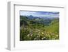 Alpine Meadow on Lake Seealpsee with Hoefats Mountain and Allgaeu Alps-null-Framed Art Print