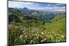 Alpine Meadow on Lake Seealpsee with Hoefats Mountain and Allgaeu Alps-null-Mounted Art Print