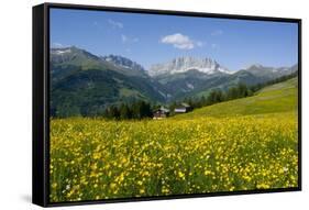 Alpine Meadow, Switzerland-Dr. Juerg Alean-Framed Stretched Canvas