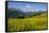 Alpine Meadow, Switzerland-Dr. Juerg Alean-Framed Stretched Canvas
