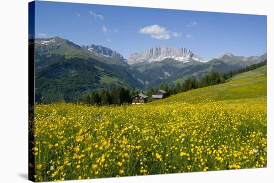 Alpine Meadow, Switzerland-Dr. Juerg Alean-Stretched Canvas