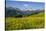 Alpine Meadow, Switzerland-Dr. Juerg Alean-Stretched Canvas