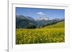 Alpine Meadow, Switzerland-Dr. Juerg Alean-Framed Photographic Print