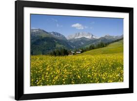 Alpine Meadow, Switzerland-Dr. Juerg Alean-Framed Photographic Print